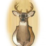 hunt17