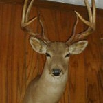 hunt8